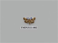 藏品(螟蛾204)的圖片